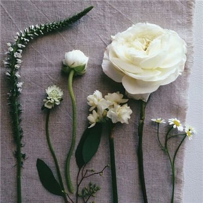 熊猫娱乐app手机app下载